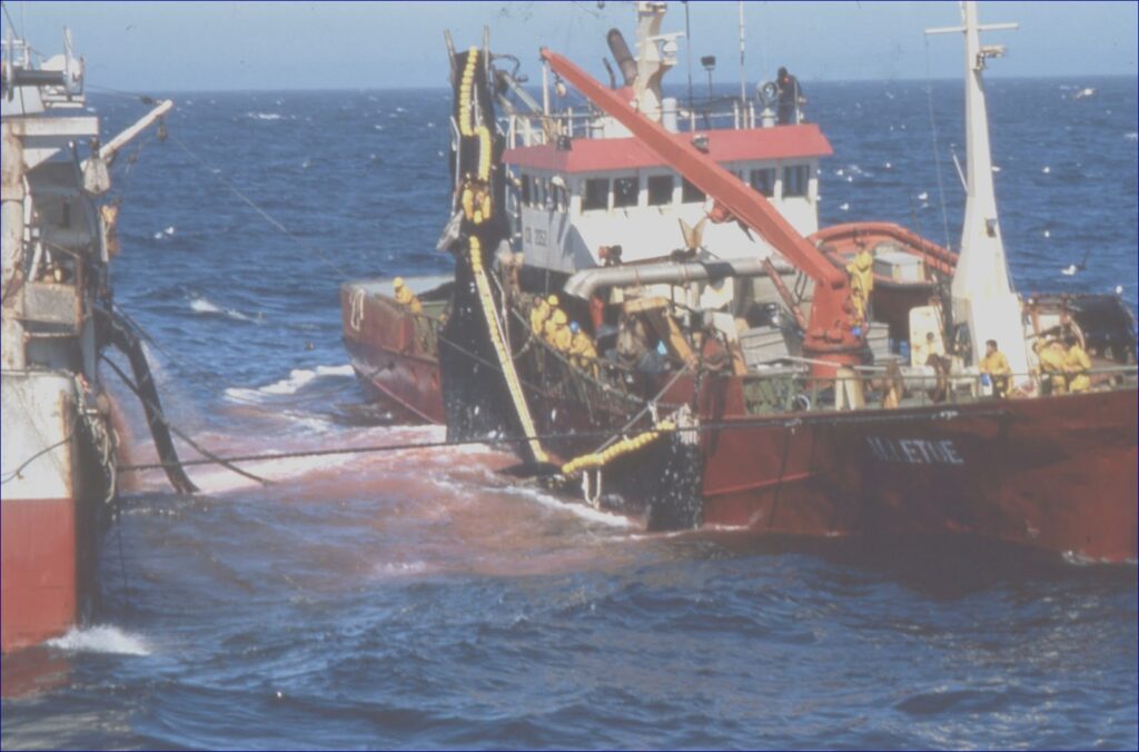 Le Maroc ajuste ses quotas de pêche