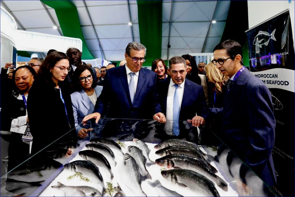 État des lieux de la pêche maritime au Maroc : enjeux et perspectives.